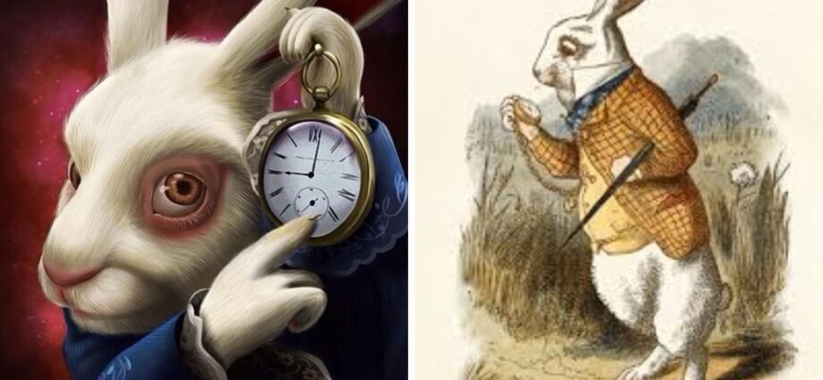 rabbit with clock
