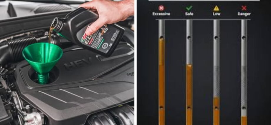 How to Check Engine Oil