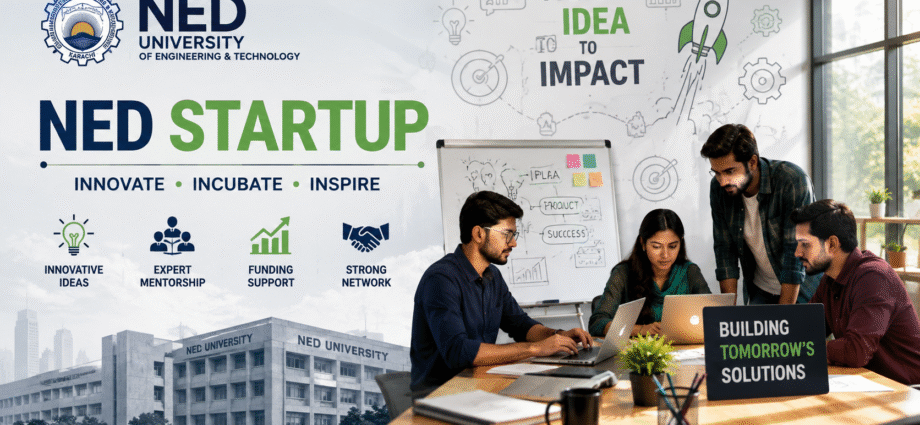 ned startup