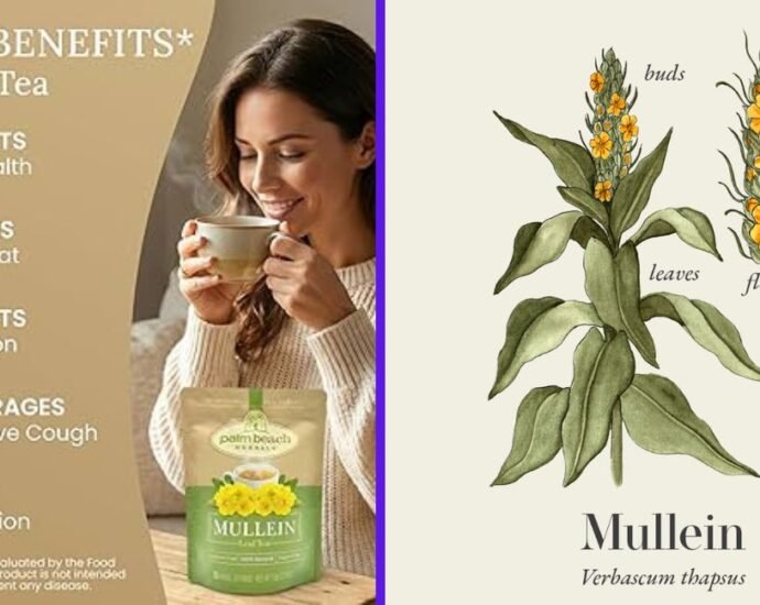 mullein tea