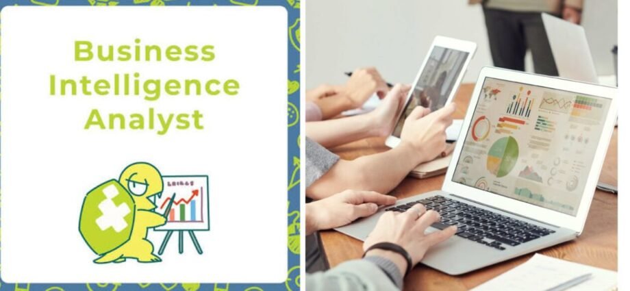 business intelligence analyst
